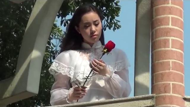 THE LAST ROSE OF SUMMER RENEE FLEMING смотреть онлайн