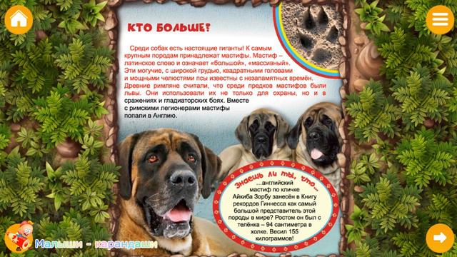 Окружающий мир. Моя первая энциклопедия, "Собаки и щенки". смотреть онлайн