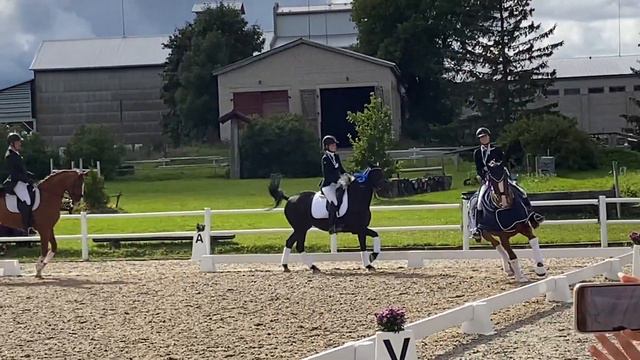 Rose Marie Skjoldby and Rosinante. Lap of honor Young Rider's dressage championship 2021. смотреть онлайн