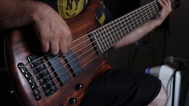 2001 Warwick Thumb Bolt-On 6 part II смотреть онлайн