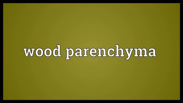 Wood parenchyma Meaning смотреть онлайн