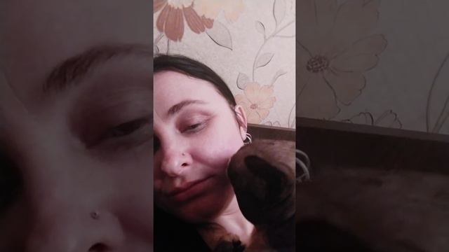 Сфинкс целовашка. Канадский сфинкс целует человека. смотреть онлайн