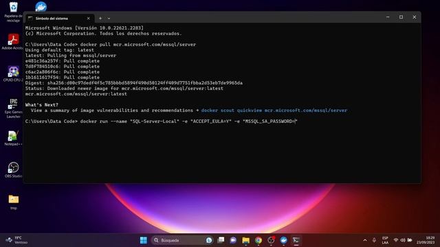 SQL Server - Instalación Base de Datos usando Docker смотреть онлайн