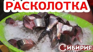 ПРИГОТОВИТЬ ИЗ СНЕГА ДЕЛИКАТЕС- СУГУДАЙ! Рецепты Андрей СИБИРИЯ