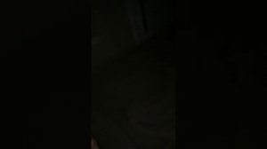 Девочке 13 лет))Бухая в хлам