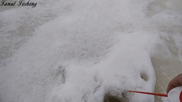 Зимняя рыбалка. Ловля плотвы и краснопёрки. смотреть онлайн