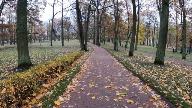 Гатчина. Гатчинский парк. осень 2020. Самый красивый парк в Ленинградской обл. Гатчинский дворец. смотреть онлайн
