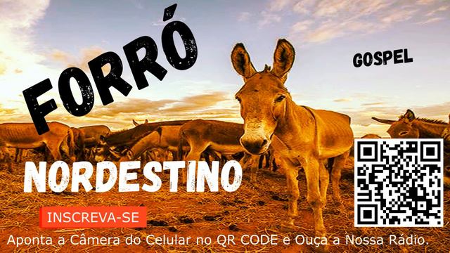 SELEÇÃO DOS MELHORES FORRÓ GOSPEL NORDESTINO, MEU NORDESTE SERTANEJO. смотреть онлайн