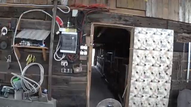 Какую ЕДУ выберет СВИНЬЯ? смотреть онлайн