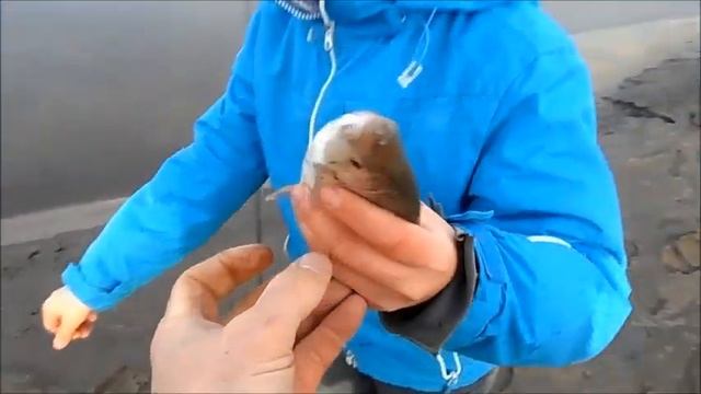 Колдаис 2023 (2 апреля)- река Сура- рыбалка