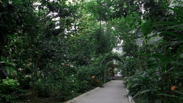Merhaba Hotel 3* Турция смотреть онлайн