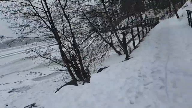 Швеция. Стокгольм.Вливаемся в природу. Взяли след медведя😂😂😂😂😂😂😂😂