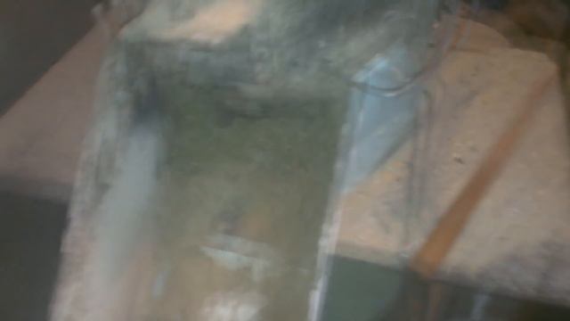 Гранулирования кукурузы и семечка подсолнуха! 180 кг/ч! Corning maize and sunflower seeds! 180 kg/h смотреть онлайн