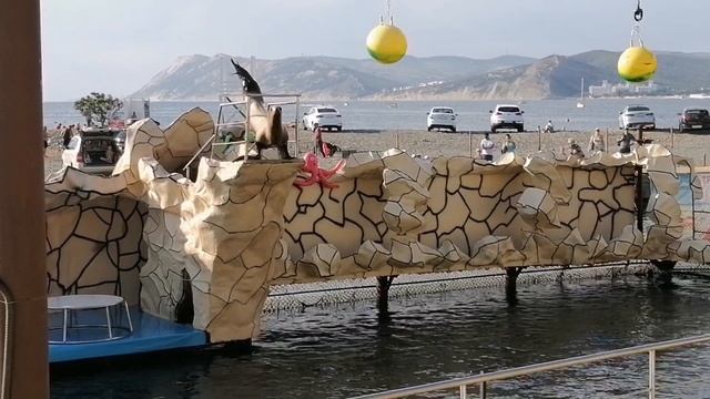 БОЛЬШОЙ УТРИШ, дельфинарий под открытым небом. ЧАСТЬ 1. Морская львица. смотреть онлайн