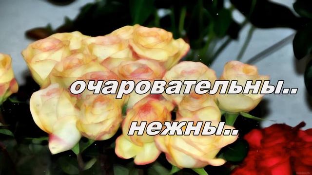 с праздником весны! смотреть онлайн