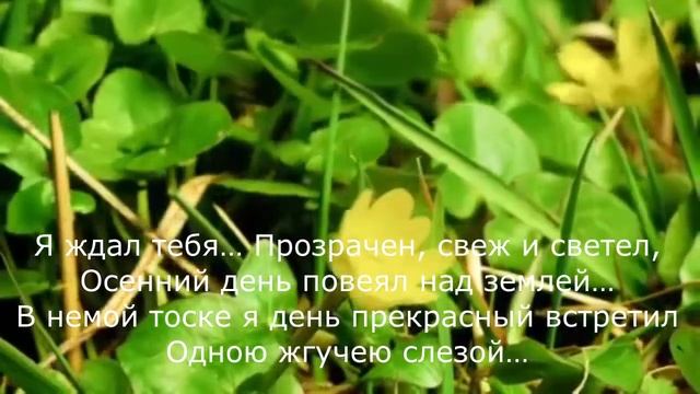 Алексей Апухтин - Я люблю, люблю тебя безумно смотреть онлайн