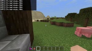 МОД НА JENNY В МАЙНКРАФТ БЕДРОК 1.17!!