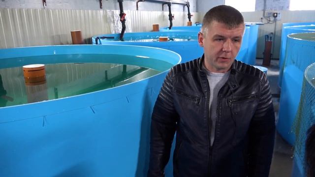 Грант на производство радужной форели смотреть онлайн