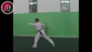 Чанцюань 46 форм