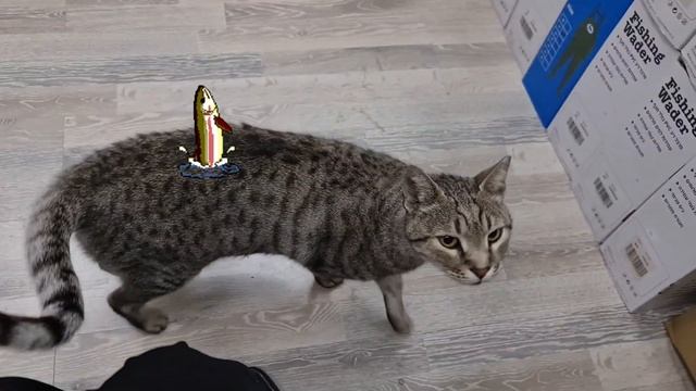 Рыба где ???Кот Семён.#cat #животные #кот #bigcat