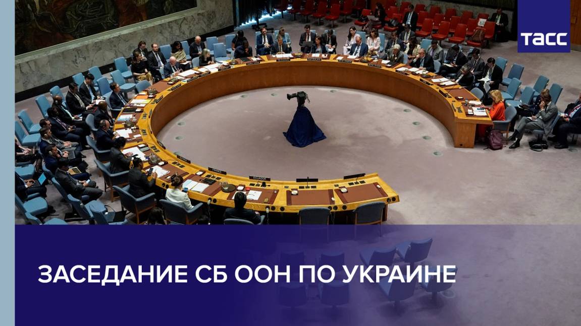 Заседание СБ ООН по Украине