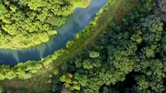Расслабляющая музыка, исцеляющая от стресса, беспокойства,депрессивных состояний #122 часа смотреть онлайн