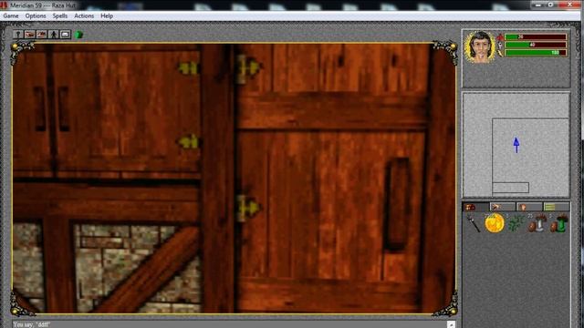 Let's Play Meridian 59 1995 3D MMORPG MMO смотреть онлайн