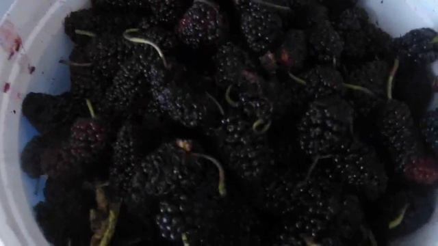 Уборка без лишних забот и напряжения