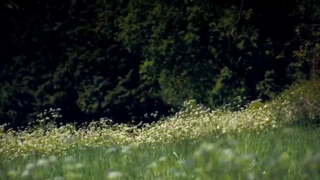 Documentary: Normandy '44 The Battle Beyond D-Day смотреть онлайн