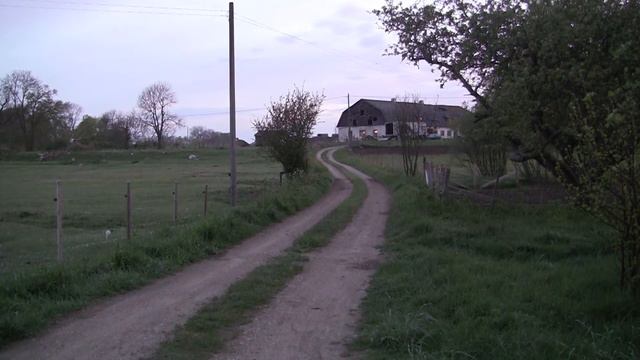 Dawn chorus, Gotland. Rode M3 + Tascam DR-100mkII смотреть онлайн