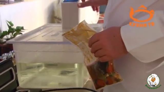 Шеф Константин Ивлев готовит лосось в сувид (sousvide Salmon) полная версия