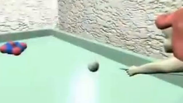 Закон сохранения импульса при упругом ударе". смотреть онлайн