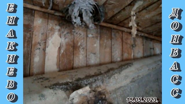 "Дачные истории | Высаживаю томаты" 15.05.2023. смотреть онлайн