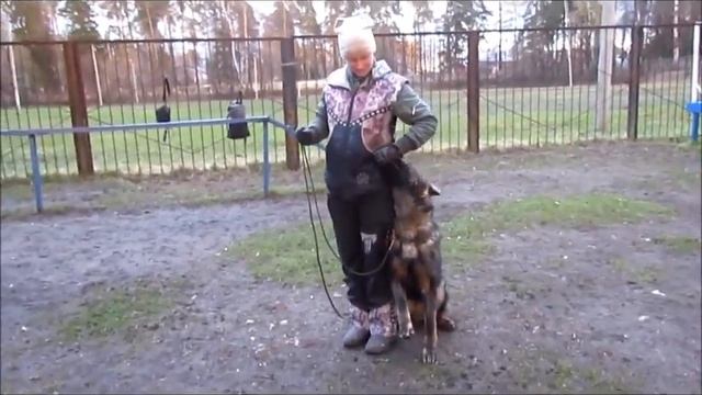 Аякс фон Аргус Хаус, 8 мес смотреть онлайн