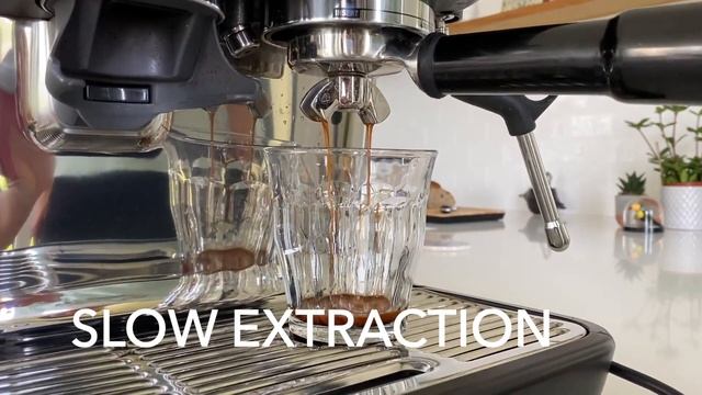 Sage Barista Pro Espresso Machine Review - Breville SES878 - How to make the Best Espresso at Home смотреть онлайн