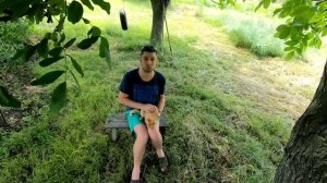 Как быстро избавить кошку собаку от блох ? Лучшее средство от блох, вшей и клещей для кошек и собак