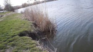 Река Кочеты, Динская, Пластуновская.  РЫБА ЖДЁТ.