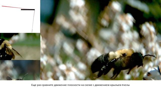 Плавниковый движитель, гидрогенератор, ветрогенератор. Своими руками. смотреть онлайн
