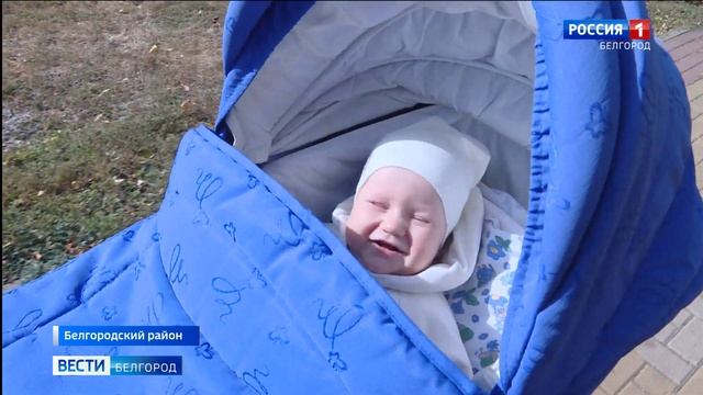 В 2020 году маткапитал получили более 8000 семей региона смотреть онлайн