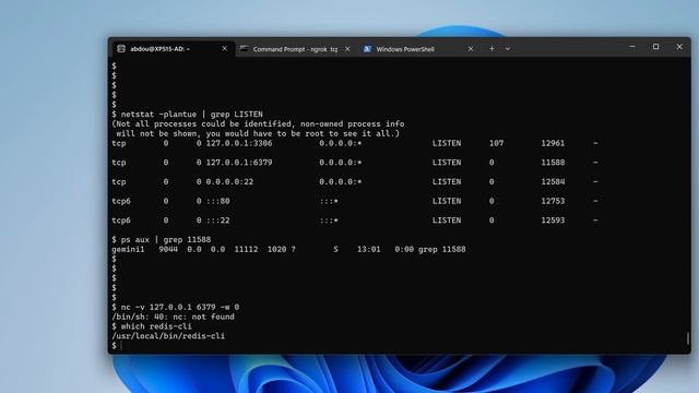 Redis privilege escalation Part 1 - Gemini Pentest v2 Ep6 смотреть онлайн