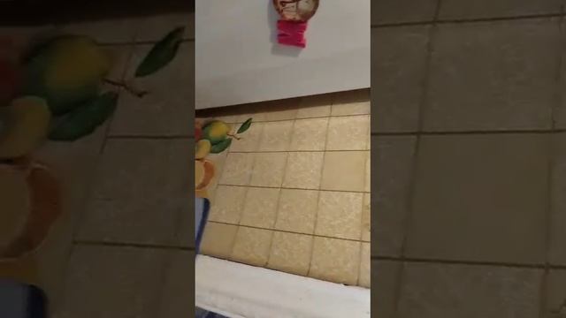 нарисовать магнитиками конфетку и солёные палочки за время за 10 секунд и за одну минуту надо успет смотреть онлайн