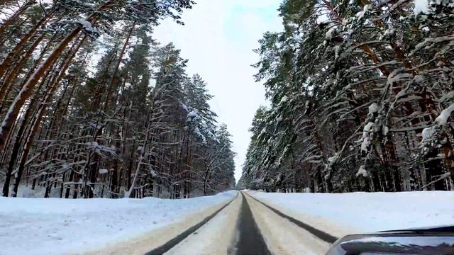 KIA Sportage 4. Зимний лес-сказка в Рязанской области. FULL HD. смотреть онлайн