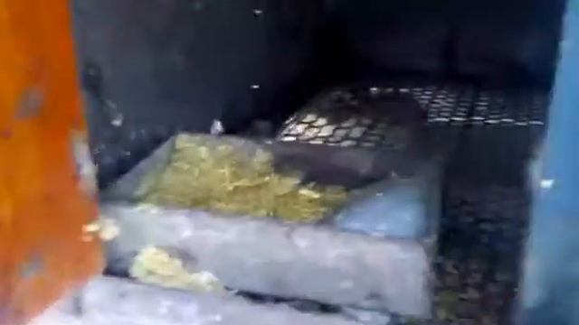 мои утки//жизнь в деревне смотреть онлайн