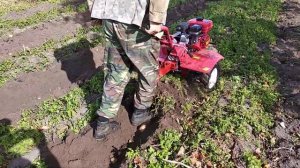 Мотокультиватор Fermer fm 811 mx