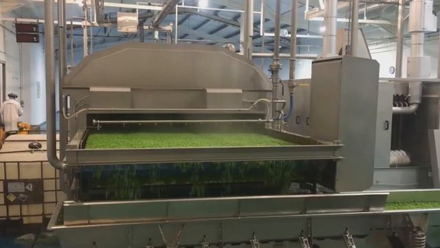 Установка Cabinplant IBC612 для бланширования овощей принудительным паром смотреть онлайн