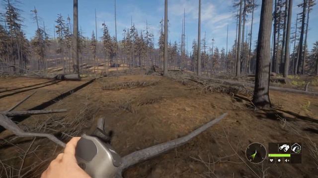 TheHunter Call of the Wild На ОХОТУ. ТЕРРИТОРИЯ ВОЛКОВ # 15 смотреть онлайн