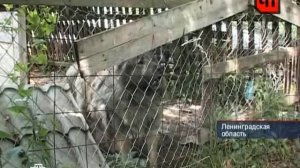 ЧП от 19.08.2011