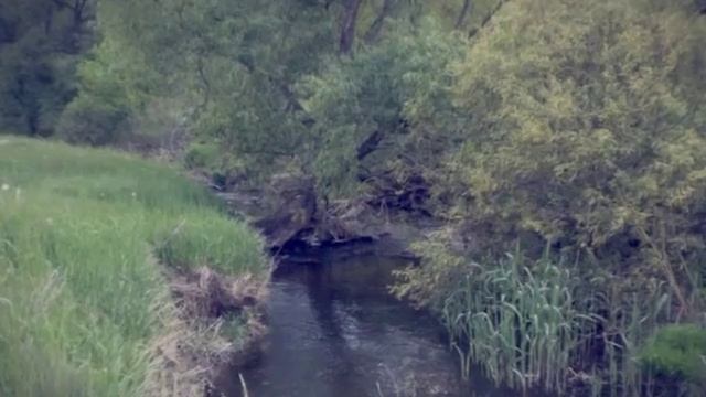 Тоска по родным местам   станция Кальчик  село Кременевка, река Калка