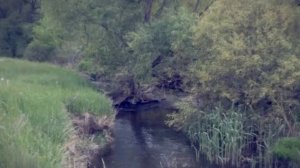 Тоска по родным местам   станция Кальчик  село Кременевка, река Калка