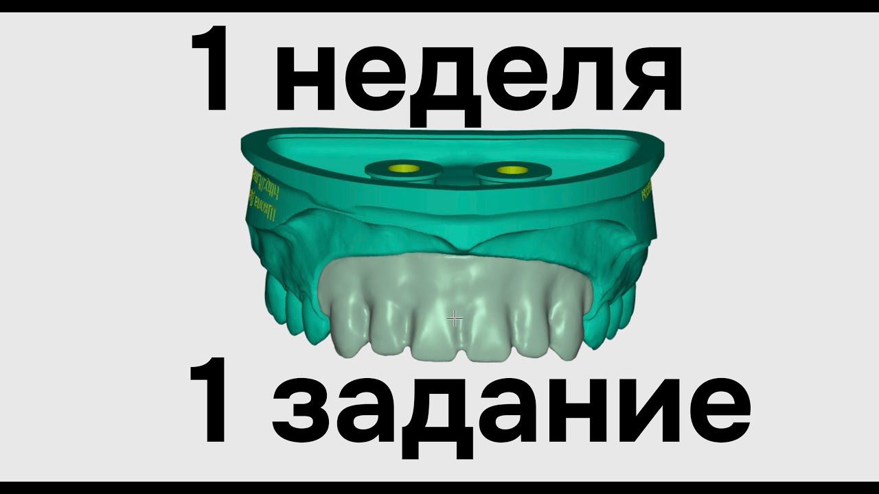 Летняя школа зубных техников 1 неделя смотреть онлайн